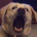Profile Picture of Benjamin Warner (@benjamin.warner.3597) on Facebook