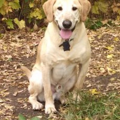 Profile Picture of Richard Tillery (@alexavecam) on Twitter