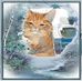 Profile Picture of Paulette Emond (@paulette.emond.545) on Facebook