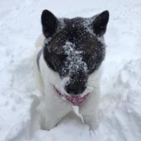 Profile Picture of Parisa Ilchi-bradley (@parisa-ilchi-bradley) on Quora