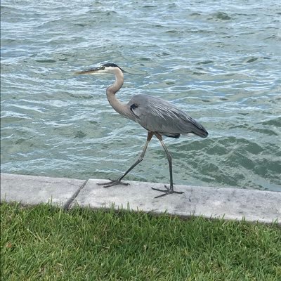 Profile Picture of Kevin Schneider (@pokerwolverine) on Twitter