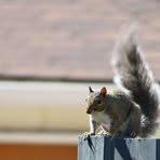 Profile Picture of Robert Hartt (@robert.hartt.3) on Facebook