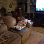 Profile Picture of Jerry Ochs (@jerry.ochs.731) on Facebook