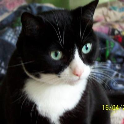 Profile Picture of Phyllis Griffiths (@phyllisg286) on Twitter