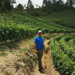 Profile Picture of Kevin Meza Enamorado (@kevin.mezaenamorado) on Instagram