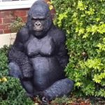 Profile Picture of Ian Bloomfield (@bloomfield_ian) on Instagram