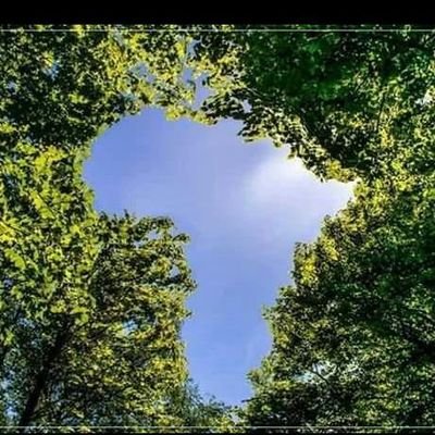 Profile Picture of James Maina Mwangi (@jayemsmaish) on Twitter