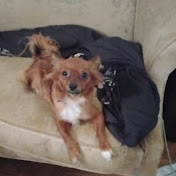 Profile Picture of Alex Bowers  (@AuroraBowers-bm6jd) on Youtube