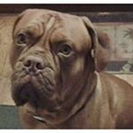 Profile Picture of Pauline Wojcik (@wojcikpauline) on Instagram