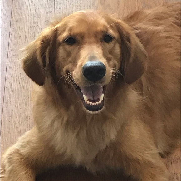 Kim Endelson - Poshmark Profile Picture of Kim Endelson (@kimrosepurple) on Poshmark