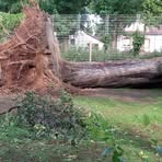 Profile Picture of Bernhard Bastkowski (@Bernhard-Bastkowski) on Facebook