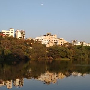 Profile Picture of Nilofer Shaikh (@NiloferShaikh4) on Twitter