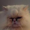 Profile Picture of ginettegagnon (@@ginettegagnon) on Tiktok