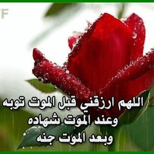 Profile Picture of Islam Atta Salih (@IsamSaleh2014) on Twitter