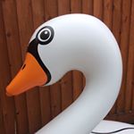 Profile Picture of lingotheflamingo.jerrytheswan (@lingotheflamingo.jerrytheswan) on Instagram