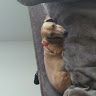 Profile Picture of Jerry Scruggs (@jscruggs45) on Pinterest