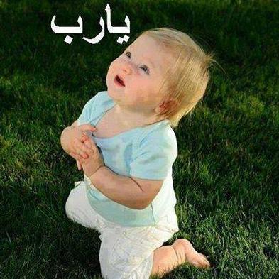 Profile Picture of IBRAHIM A. EISSA (@ibrahimeissa14) on Twitter