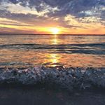 Profile Picture of Terry W Moore (@mooreterryw) on Instagram