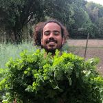 Profile Picture of André Phillipe Martins N Matos (@ded.is) on Instagram