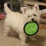 Profile Picture of Pamela Ferron (@pamela.ferron) on Instagram