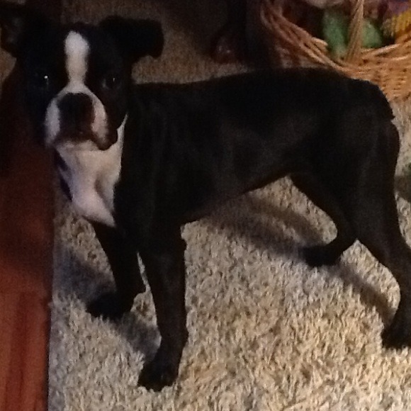 Profile Picture of Beverly Coker (@bevcoker) on Poshmark