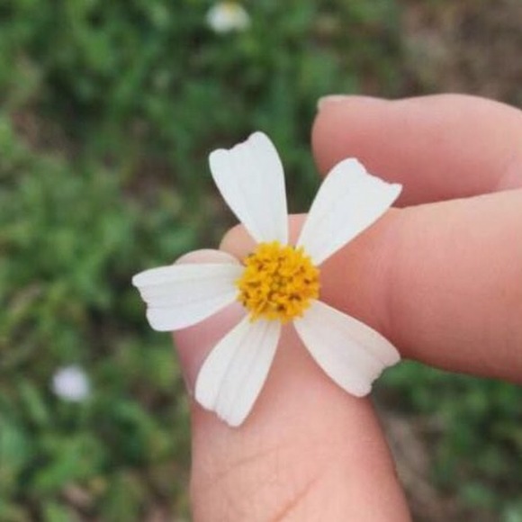 Profile Picture of Sam Wilt (@sam__w) on Poshmark