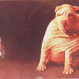 Profile Picture of Jacklynn Bean (@jacklynnxo) on Myspace