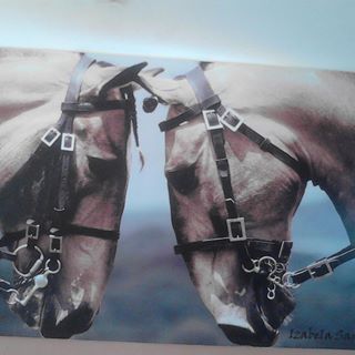 Profile Picture of Frank Alarmante Krack (@Frank-Alarmante-Krack) on Facebook