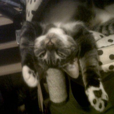 Profile Picture of Jo Withers (@jojow15) on Twitter