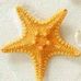 Profile Picture of Allan Downs (@allan.downs.357) on Facebook
