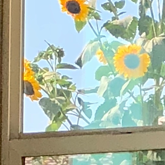 Profile Picture of Robin Brady (@robincita) on Poshmark