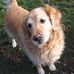 Profile Picture of Jerri DeMont Sparks (@jerri.sparks.9) on Facebook