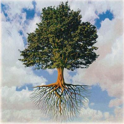 Profile Picture of Robert Tapley (@tapleyrr) on Twitter