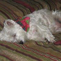 Profile Picture of Scott Hutchison (@scott-hutchison-18) on Quora