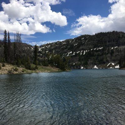 Profile Picture of Jeremy Slack (@JeremySlacker) on Twitter
