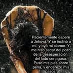 Jimmyy Rey River - Facebook Profile Picture of Jimmyy Rey River (@Jimmyy-Rey-River) on Facebook