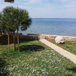 Profile Picture of Barbara Hilbert (@hilbert.sircelj) on Instagram