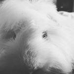 Profile Picture of ruby spearman (@ruby_roo_200) on Instagram