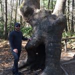 Profile Picture of David Eblin (@insta68chevy) on Instagram