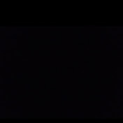 Profile Picture of Tyler Hamblin (@tylerhamblin1772) on Youtube