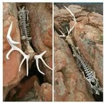 Profile Picture of Kim Imler (@Kim-Imler) on Facebook