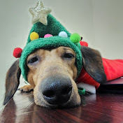 Profile Picture of Stephanie Zhang (@ZappytheSausage) on Youtube