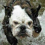 Profile Picture of Matthew Gremillion (@gremln723) on Instagram