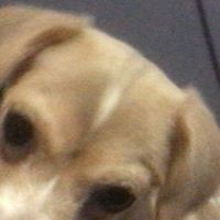 Profile Picture of Axel Escobar (@axel-escobar-8) on Quora