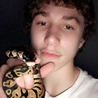 Profile Picture of Mike Bussiere (@Mike-Bussiere) on Facebook