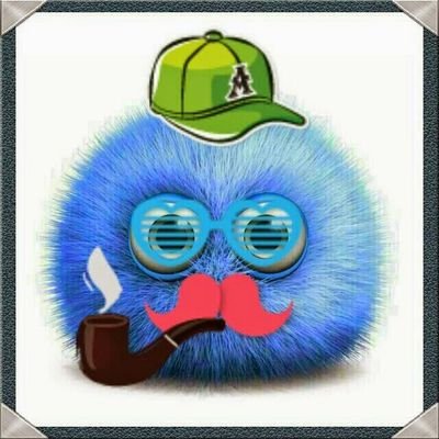 Profile Picture of Bob Der Bobige (@steindl78) on Twitter
