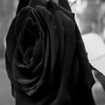 Profile Picture of Robert Thomas Sword (@ablazinhood) on Instagram