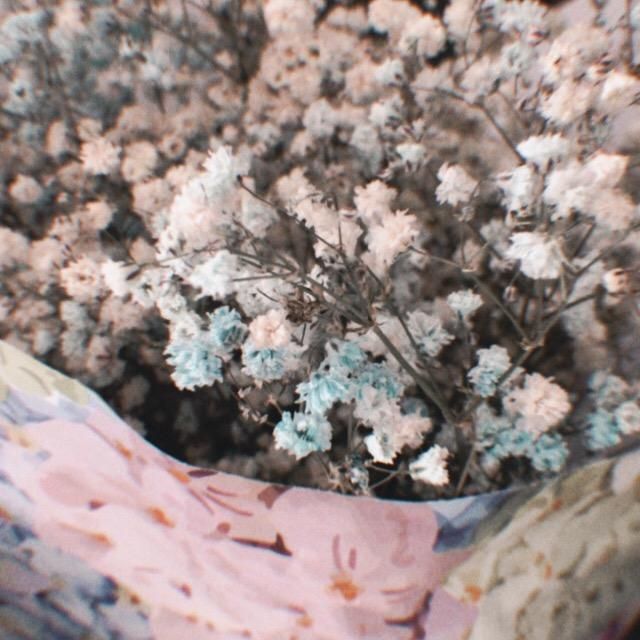 Profile Picture of lisa_quila (@lisa_quila) on Tiktok