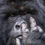 Profile Picture of Luis F Capilla (@luiscapb) on Instagram