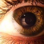 Profile Picture of Jesse Western (@_toxic_remedies_) on Instagram